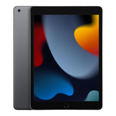 iPad 10.2 9th Gen (2021)