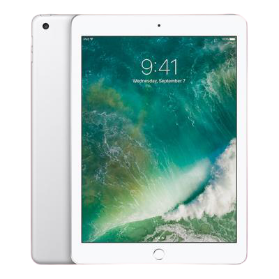 iPad 9.7 5th Gen (2017)